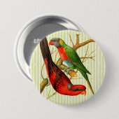 Kleurrijke  rode & groene papegaaien illustratie ronde button 7,6 cm (Voorkant /achterkant)