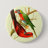 Kleurrijke  rode & groene papegaaien illustratie ronde button 7,6 cm (Voorkant)