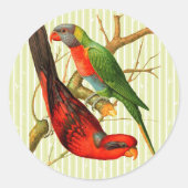Kleurrijke  rode & groene papegaaien illustratie ronde sticker (Voorkant)