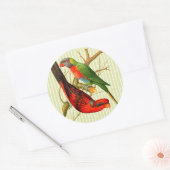 Kleurrijke  rode & groene papegaaien illustratie ronde sticker (Envelop)