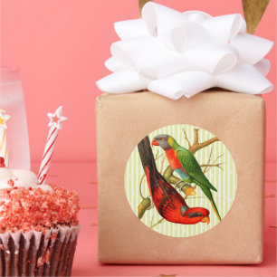 Kleurrijke  rode & groene papegaaien illustratie ronde sticker