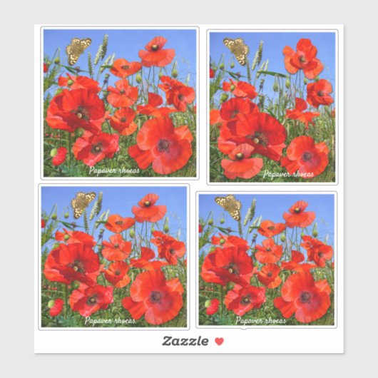 Kleurrijke rode papaver Contour Sticker (Vel)