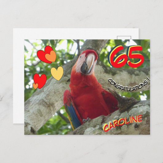 Kleurrijke Rode Papegaai 65e Verjaardagansichtkaar Briefkaart (Voorkant / Achterkant)