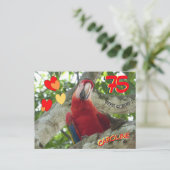 Kleurrijke Rode Papegaai 75e Verjaardag Postkaart (Staand voorkant)
