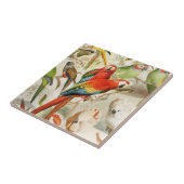 Kleurrijke  rode tropische vogels papegaaien tegeltje (Zijkant)