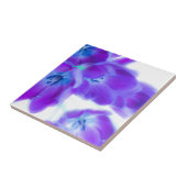 Kleurrijke, roemrijke, paarse tulpen tegeltje (Zijkant)