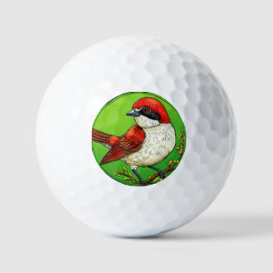 Kleurrijke Roodrugklauwier vogel Golfballen