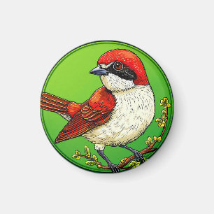Kleurrijke Roodrugklauwier vogel Magneet