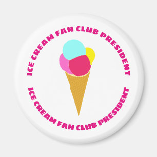 Kleurrijke roommagneten magneet