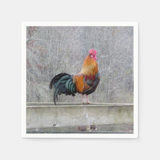 Kleurrijke rooster op papier servet (Voorkant)