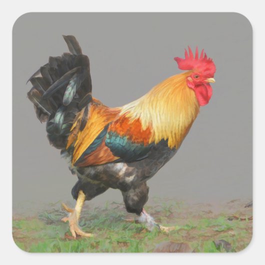 Kleurrijke Rooster schilderij Vierkante Sticker (Voorkant)