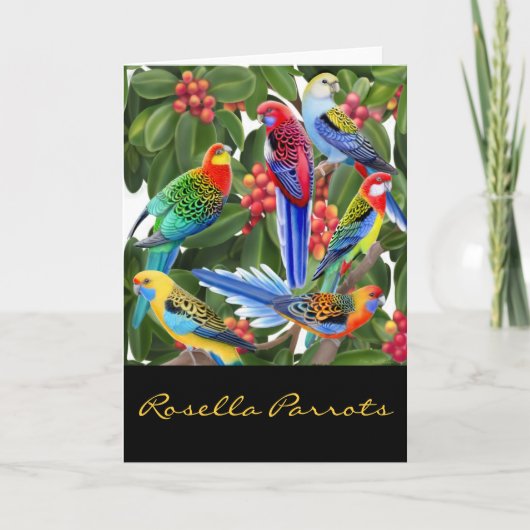 Kleurrijke Rosella Papegaaien Kaart (Voorkant)