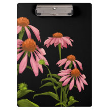 Kleurrijke roze bloemen op een zwarte achtergrond