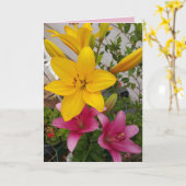 Kleurrijke Roze Lelie Bloem Fotokaart Kaart (Gele Bloem)