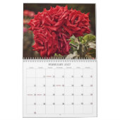 Kleurrijke Rozen Bloemenkalender Kalender (Feb 2027)
