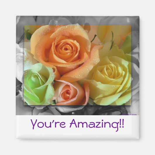 Kleurrijke Rozen-magneet Magneet (Voorkant)