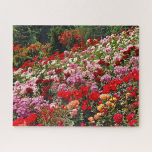 Kleurrijke rozen tuin legpuzzel
