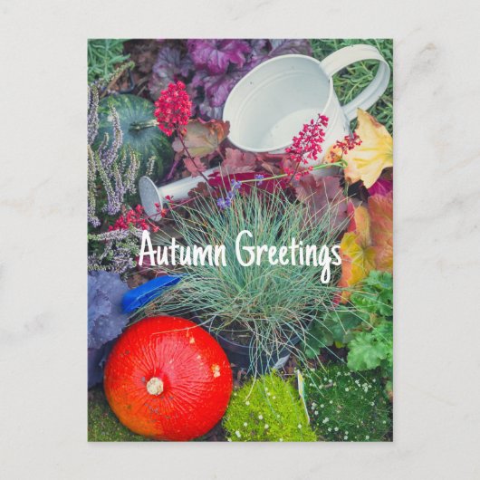 Kleurrijke rustieke herfsttuin briefkaart (Voorkant)