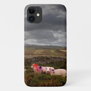 Kleurrijke schapen Case-Mate iPhone case