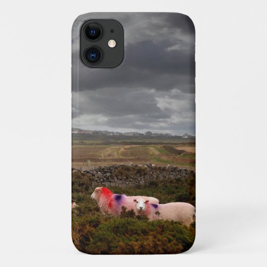Kleurrijke schapen Case-Mate iPhone case (Achterkant)
