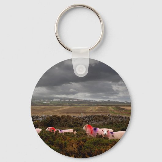 Kleurrijke schapen sleutelhanger (Voorkant)