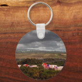 Kleurrijke schapen sleutelhanger (Voorkant)
