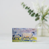 Kleurrijke schapenlammeren en Visitekaartjes van C (Staand voorkant)