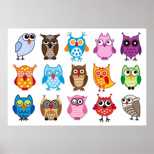 Kleurrijke schattige uil poster (Voorkant)