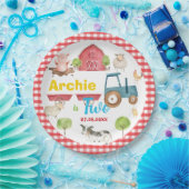 Kleurrijke Schattigee boerderijdieren Barnyard Ver Papieren Bordje (Feest)