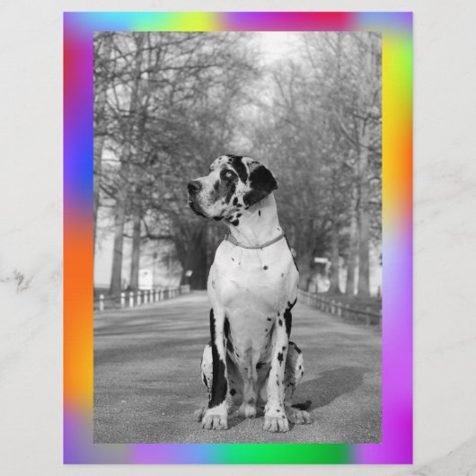 Kleurrijke scheur van puppy verkopende flyer (Achterkant)