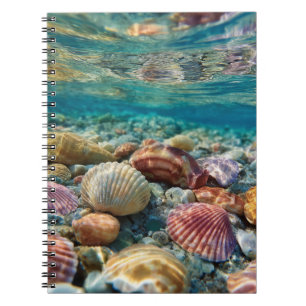 Kleurrijke Seashells Onderwater Ocean Notitieboek