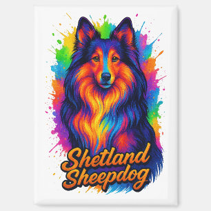 Kleurrijke Shetland Sheepdog Pop Art Illustratie Magneet