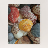 Kleurrijke Sint-Jakobsschelpen Legpuzzel (Verticaal)