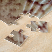 Kleurrijke Sint-Jakobsschelpen Legpuzzel (Zijkant)