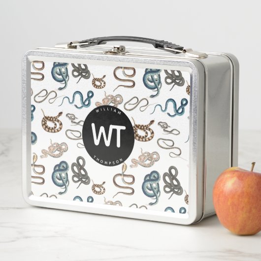 Kleurrijke slangen Reptiel Dierlijk Patroon Monogr (In situ)