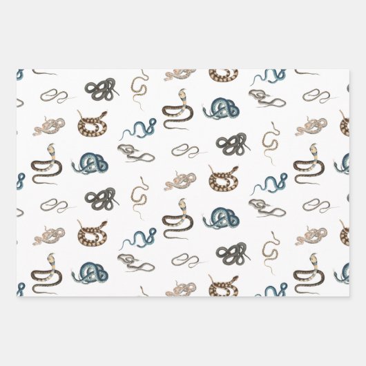 Kleurrijke slangen reptiel dierpatroon inpakpapier vel (Voorkant 2)
