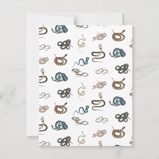 Kleurrijke slangen reptiel dierpatroon notitiekaartje (Achterkant)