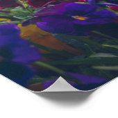 Kleurrijke slipjes in bloei in de tuin van het lan poster (Hoek)