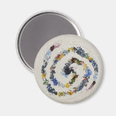 Kleurrijke spiraalkoeling Magnet (Voorkant / Achterkant)