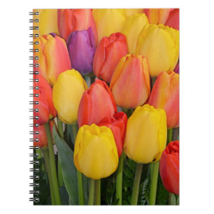 Kleurrijke stelletje tulpen notitieboek