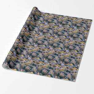 Kleurrijke stenen    cadeaupapier