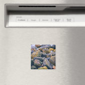 Kleurrijke stenen    magneet (Insitu (Vaatwasser))