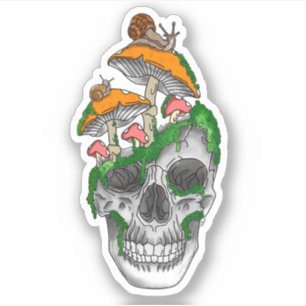 Kleurrijke Sticker van vinyl