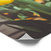 Kleurrijke stijl lentetulpen poster (Hoek)