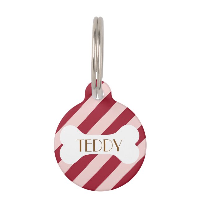 Kleurrijke stijlvolle lichte kleur minimalistische huisdierpenning (Voorkant)