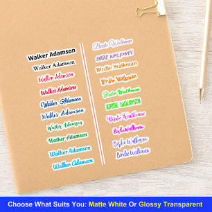 Kleurrijke stijlvolle naamstickers (eenvoudige Lab Sticker