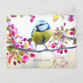 Kleurrijke  Stoomtrein Kunst, Naam, Bericht Briefkaart (Voorkant)