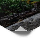 Kleurrijke straat in Rothenburg ob der Tauber Poster (Hoek)