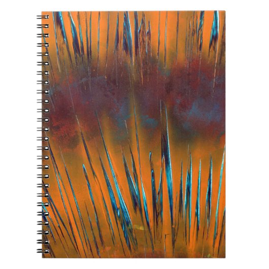 kleurrijke stralen notitieboek (Voorkant)