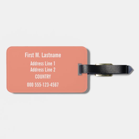 Kleurrijke strepen aangepaste bagagelabel (Achterkant horizontaal)